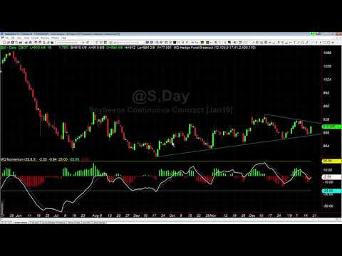 What We Are Watching in Soybeans