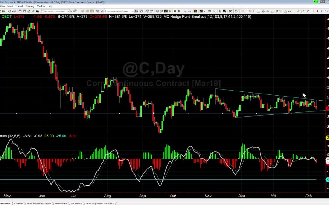 Corn Futures Outlook Feb 8 2019