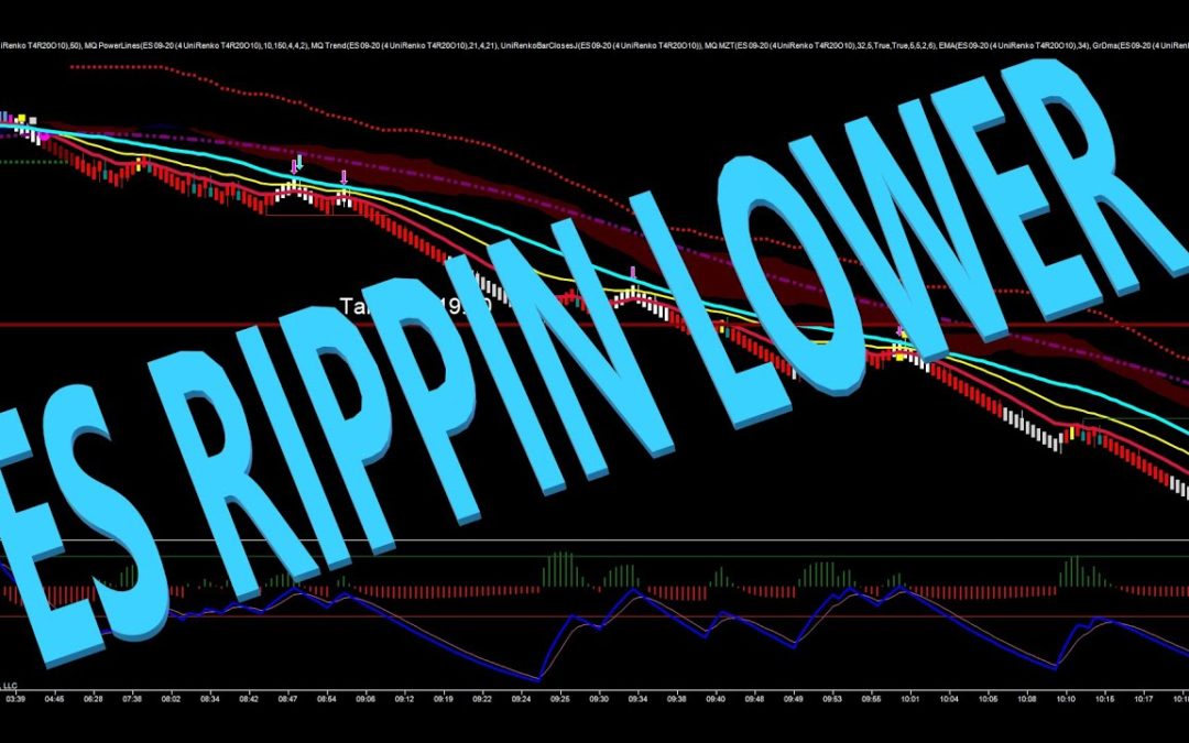 ES Rippin Lower