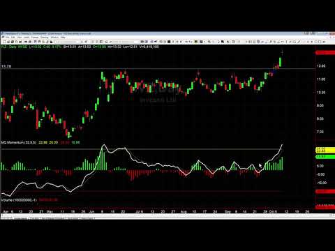 How We Made 200% In IVZ