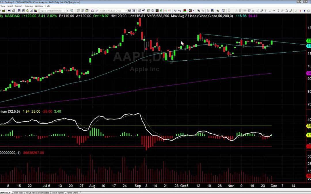 Why We Are Long AAPL