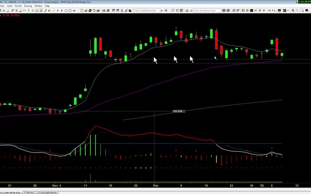 Shop Till You Drop with Shopify