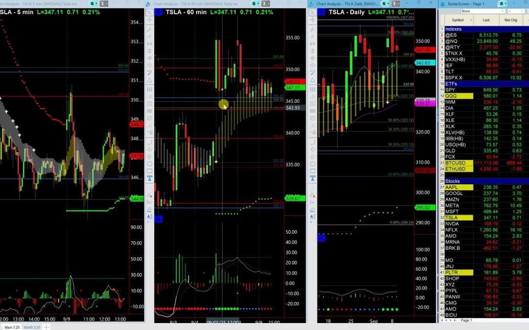 TSLA bull and bear Targets
